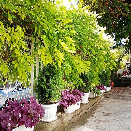 Belgrade Apartment Happy Garden Екстер'єр фото