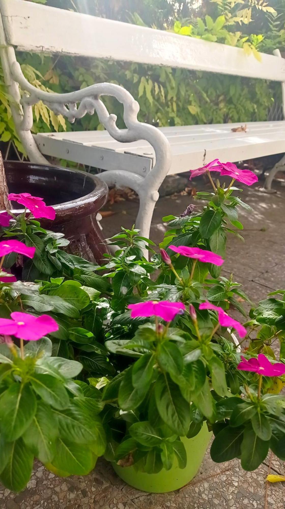 Belgrade Apartment Happy Garden Екстер'єр фото