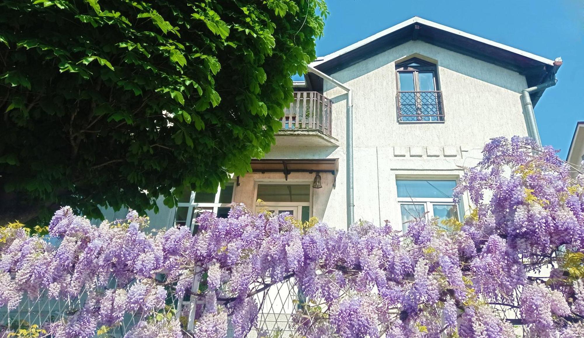 Belgrade Apartment Happy Garden Екстер'єр фото